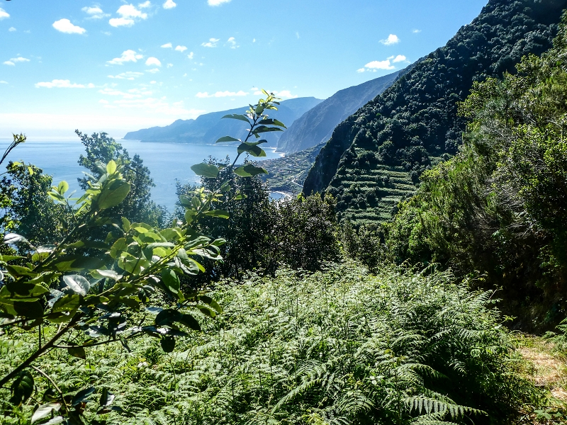 05.05.2019 Ribeira Funda - Vereda dos Castanheiros - Fanal - Levada dos Cedros - Tranquada - Ribeira Funda — Até à passagem da Ribeira do Passo — foto 3