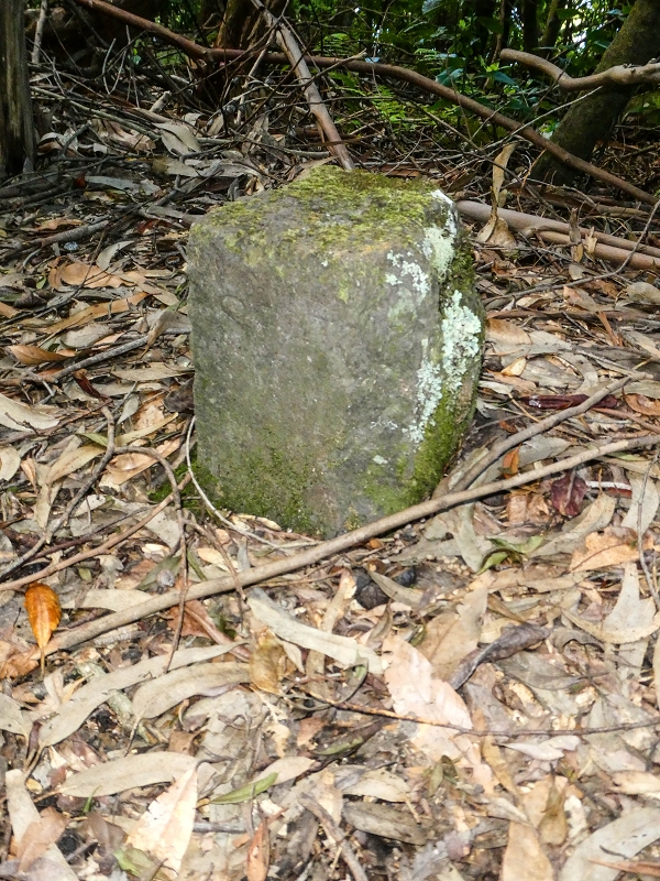 05.05.2019 Ribeira Funda - Vereda dos Castanheiros - Fanal - Levada dos Cedros - Tranquada - Ribeira Funda — Na Vereda da Tranquada — foto 10