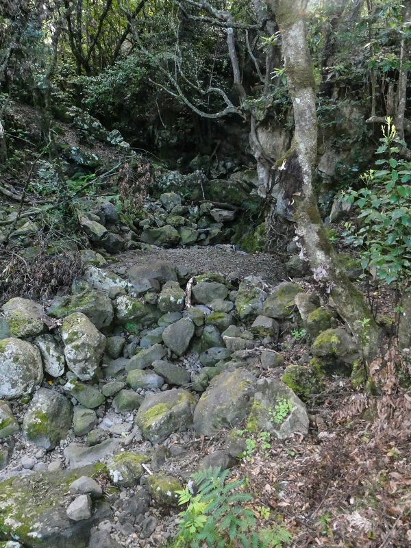 05.05.2019 Ribeira Funda - Vereda dos Castanheiros - Fanal - Levada dos Cedros - Tranquada - Ribeira Funda — Na Vereda da Tranquada — foto 12