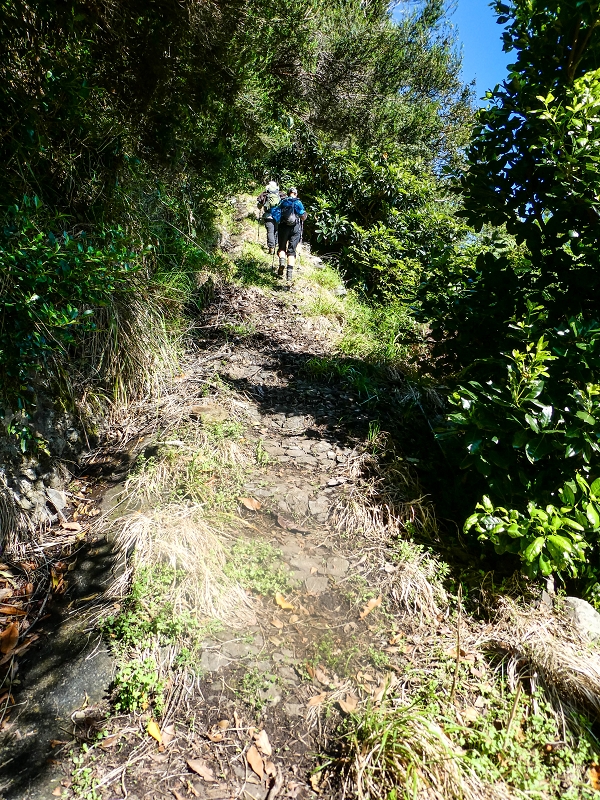 05.05.2019 Ribeira Funda - Vereda dos Castanheiros - Fanal - Levada dos Cedros - Tranquada - Ribeira Funda — Até à passagem da Ribeira do Passo — foto 4