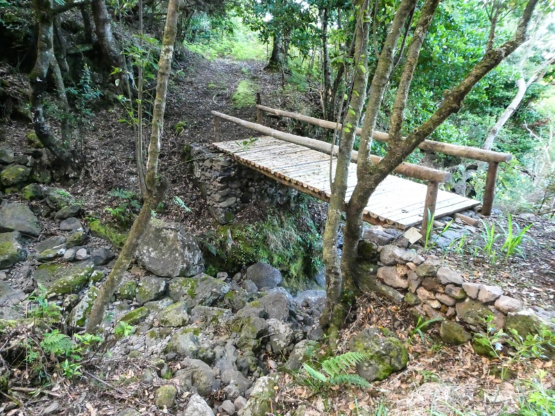05.05.2019 Ribeira Funda - Vereda dos Castanheiros - Fanal - Levada dos Cedros - Tranquada - Ribeira Funda — Na Vereda da Tranquada — foto 13