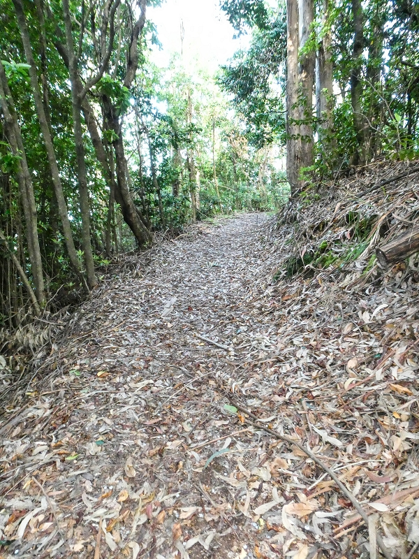 05.05.2019 Ribeira Funda - Vereda dos Castanheiros - Fanal - Levada dos Cedros - Tranquada - Ribeira Funda — Na Vereda da Tranquada — foto 20
