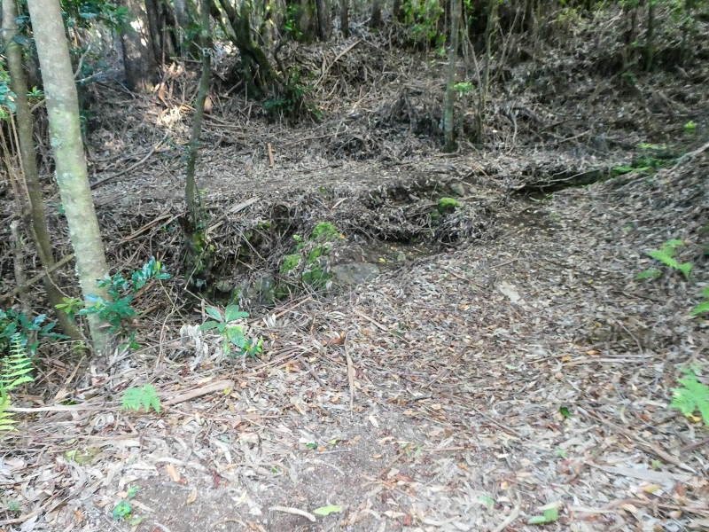 05.05.2019 Ribeira Funda - Vereda dos Castanheiros - Fanal - Levada dos Cedros - Tranquada - Ribeira Funda — Na Vereda da Tranquada — foto 21