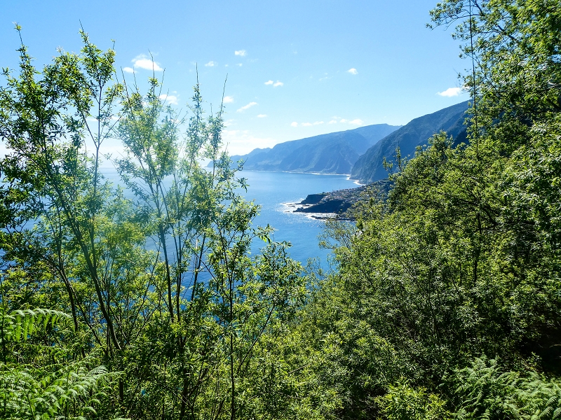 05.05.2019 Ribeira Funda - Vereda dos Castanheiros - Fanal - Levada dos Cedros - Tranquada - Ribeira Funda — Até à passagem da Ribeira do Passo — foto 5