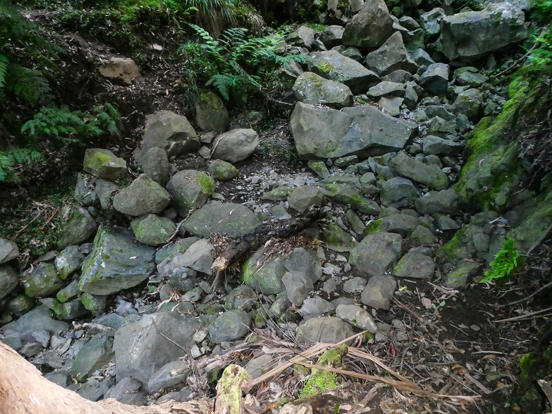 05.05.2019 Ribeira Funda - Vereda dos Castanheiros - Fanal - Levada dos Cedros - Tranquada - Ribeira Funda — Na Vereda da Tranquada — foto 26