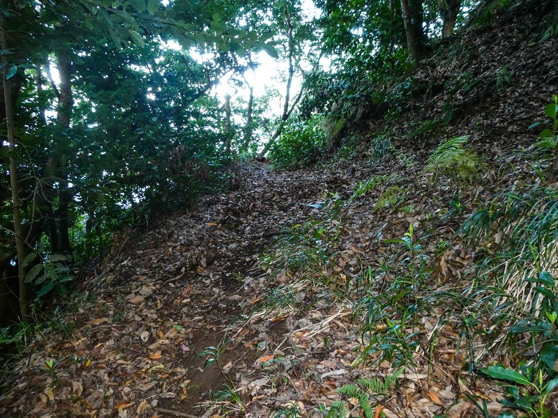 05.05.2019 Ribeira Funda - Vereda dos Castanheiros - Fanal - Levada dos Cedros - Tranquada - Ribeira Funda — Na Vereda da Tranquada — foto 29