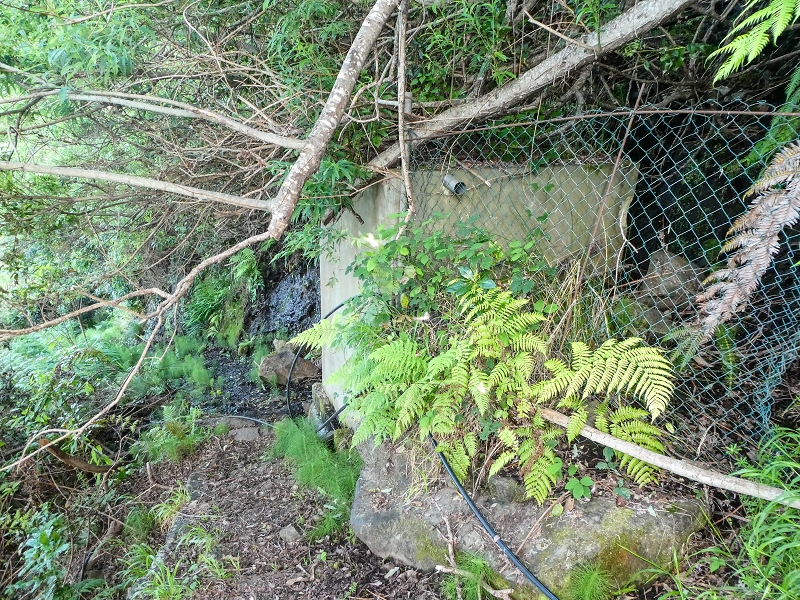 05.05.2019 Ribeira Funda - Vereda dos Castanheiros - Fanal - Levada dos Cedros - Tranquada - Ribeira Funda — Descida para Ribeira Funda — foto 5