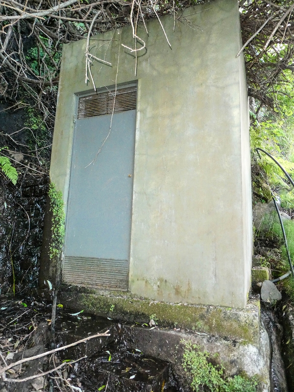 05.05.2019 Ribeira Funda - Vereda dos Castanheiros - Fanal - Levada dos Cedros - Tranquada - Ribeira Funda — Descida para Ribeira Funda — foto 6