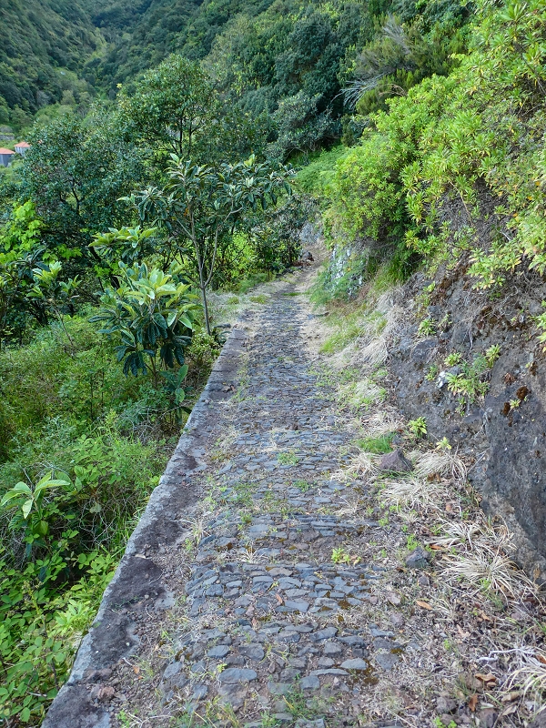 05.05.2019 Ribeira Funda - Vereda dos Castanheiros - Fanal - Levada dos Cedros - Tranquada - Ribeira Funda — Descida para Ribeira Funda — foto 8