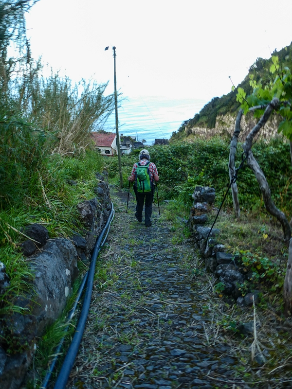 05.05.2019 Ribeira Funda - Vereda dos Castanheiros - Fanal - Levada dos Cedros - Tranquada - Ribeira Funda — Descida para Ribeira Funda — foto 9