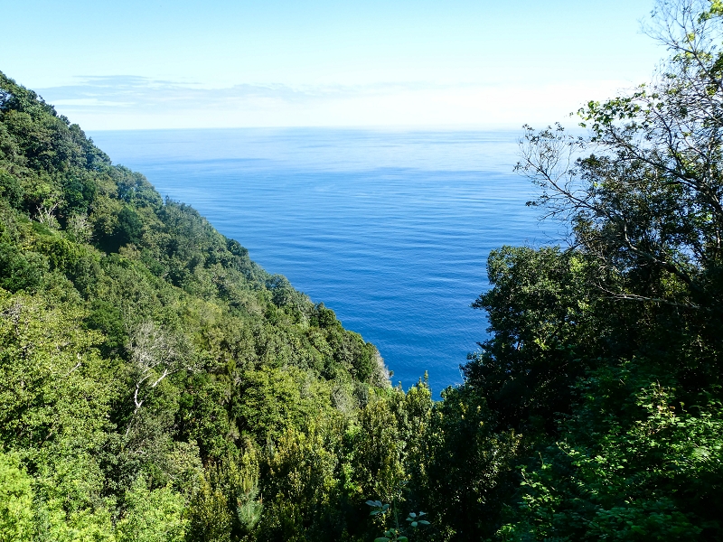 05.05.2019 Ribeira Funda - Vereda dos Castanheiros - Fanal - Levada dos Cedros - Tranquada - Ribeira Funda — Até à passagem da Ribeira do Passo — foto 7