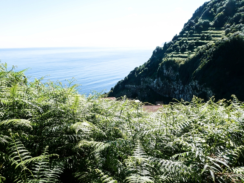 05.05.2019 Ribeira Funda - Vereda dos Castanheiros - Fanal - Levada dos Cedros - Tranquada - Ribeira Funda — Subida de Ribeira Funda à Vereda da Tranquada — foto 2