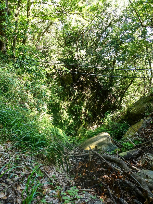 05.05.2019 Ribeira Funda - Vereda dos Castanheiros - Fanal - Levada dos Cedros - Tranquada - Ribeira Funda — Até à passagem da Ribeira do Passo — foto 9