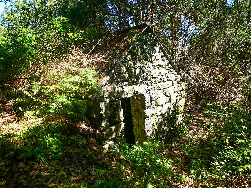 05.05.2019 Ribeira Funda - Vereda dos Castanheiros - Fanal - Levada dos Cedros - Tranquada - Ribeira Funda — Até à passagem da Ribeira do Passo — foto 10