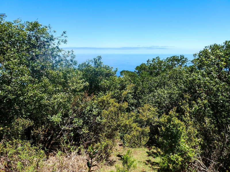 05.05.2019 Ribeira Funda - Vereda dos Castanheiros - Fanal - Levada dos Cedros - Tranquada - Ribeira Funda — Seguindo na íngreme Vereda dos Castanheiros — foto 16