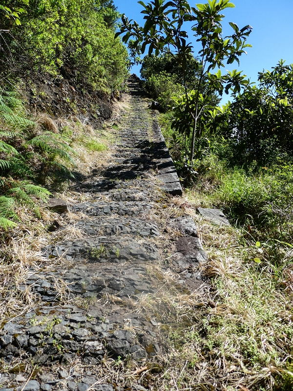 05.05.2019 Ribeira Funda - Vereda dos Castanheiros - Fanal - Levada dos Cedros - Tranquada - Ribeira Funda — Subida de Ribeira Funda à Vereda da Tranquada — foto 5