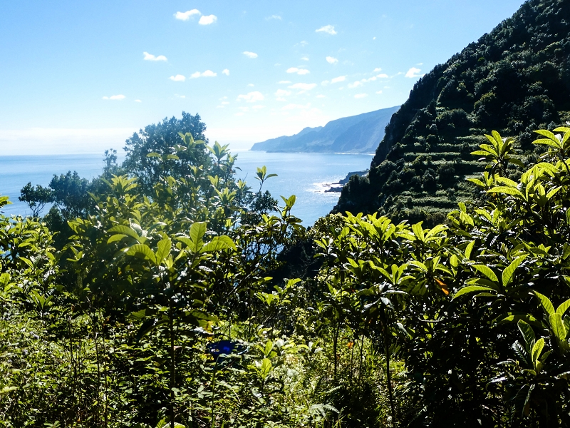 05.05.2019 Ribeira Funda - Vereda dos Castanheiros - Fanal - Levada dos Cedros - Tranquada - Ribeira Funda — Subida de Ribeira Funda à Vereda da Tranquada — foto 6