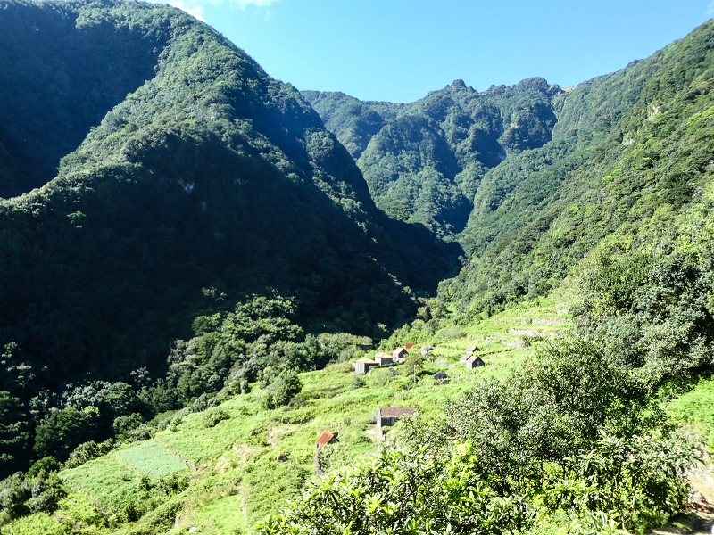 05.05.2019 Ribeira Funda - Vereda dos Castanheiros - Fanal - Levada dos Cedros - Tranquada - Ribeira Funda — Subida de Ribeira Funda à Vereda da Tranquada — foto 7