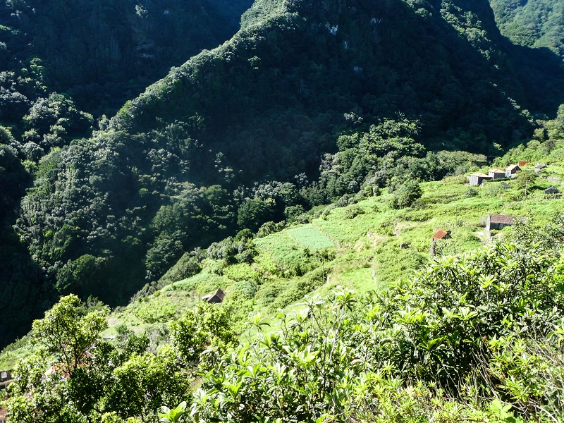 05.05.2019 Ribeira Funda - Vereda dos Castanheiros - Fanal - Levada dos Cedros - Tranquada - Ribeira Funda — Subida de Ribeira Funda à Vereda da Tranquada — foto 8