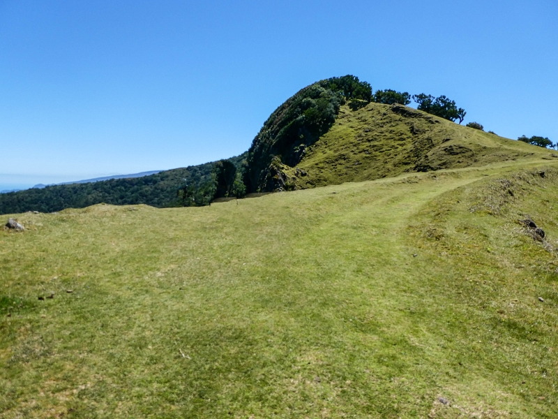 05.05.2019 Ribeira Funda - Vereda dos Castanheiros - Fanal - Levada dos Cedros - Tranquada - Ribeira Funda — No planalto do Fanal — foto 15