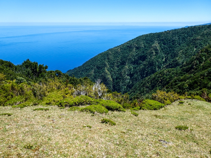 05.05.2019 Ribeira Funda - Vereda dos Castanheiros - Fanal - Levada dos Cedros - Tranquada - Ribeira Funda — No planalto do Fanal — foto 16