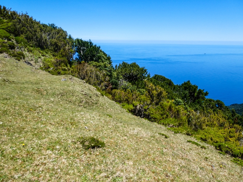 05.05.2019 Ribeira Funda - Vereda dos Castanheiros - Fanal - Levada dos Cedros - Tranquada - Ribeira Funda — No planalto do Fanal — foto 17