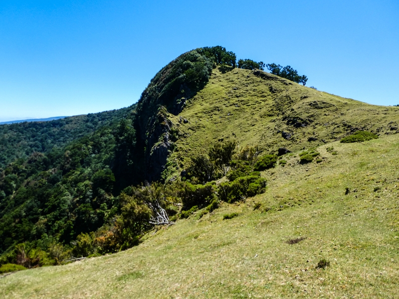 05.05.2019 Ribeira Funda - Vereda dos Castanheiros - Fanal - Levada dos Cedros - Tranquada - Ribeira Funda — No planalto do Fanal — foto 18