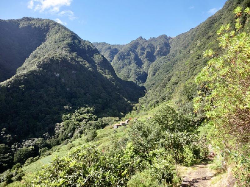 05.05.2019 Ribeira Funda - Vereda dos Castanheiros - Fanal - Levada dos Cedros - Tranquada - Ribeira Funda — Subida de Ribeira Funda à Vereda da Tranquada — foto 9