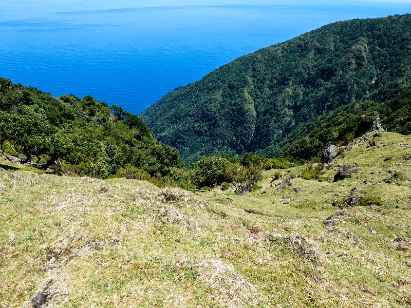 05.05.2019 Ribeira Funda - Vereda dos Castanheiros - Fanal - Levada dos Cedros - Tranquada - Ribeira Funda — No planalto do Fanal — foto 19