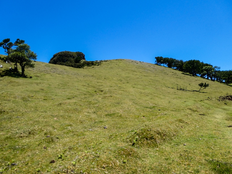 05.05.2019 Ribeira Funda - Vereda dos Castanheiros - Fanal - Levada dos Cedros - Tranquada - Ribeira Funda — No planalto do Fanal — foto 24