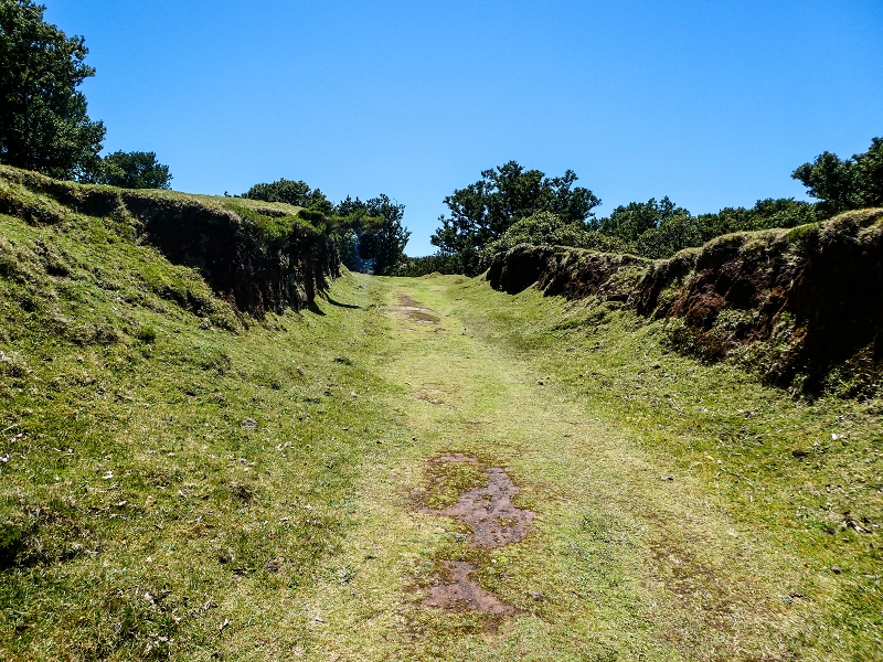 05.05.2019 Ribeira Funda - Vereda dos Castanheiros - Fanal - Levada dos Cedros - Tranquada - Ribeira Funda — No planalto do Fanal — foto 25