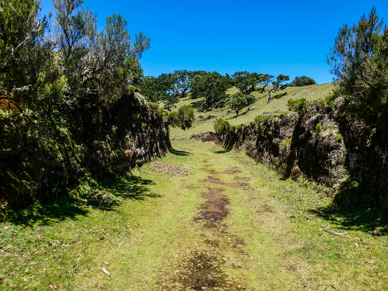 05.05.2019 Ribeira Funda - Vereda dos Castanheiros - Fanal - Levada dos Cedros - Tranquada - Ribeira Funda — No planalto do Fanal — foto 26