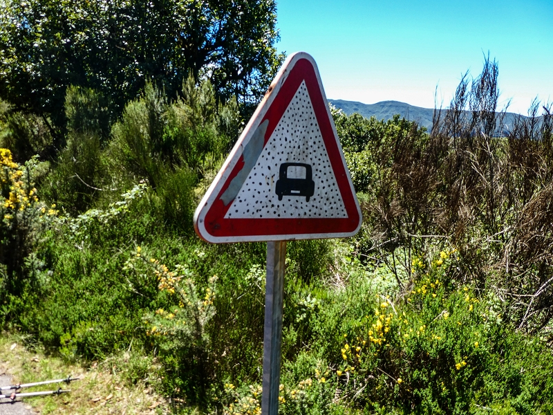 05.05.2019 Ribeira Funda - Vereda dos Castanheiros - Fanal - Levada dos Cedros - Tranquada - Ribeira Funda — No planalto do Fanal — foto 27