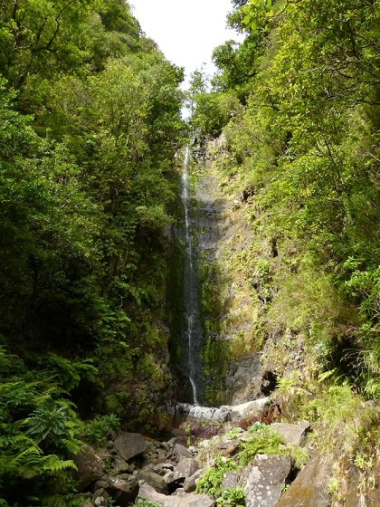 05.08.2012 Folhadal PR 17 — Auf der Levada do Norte im Folhadal — Foto 5