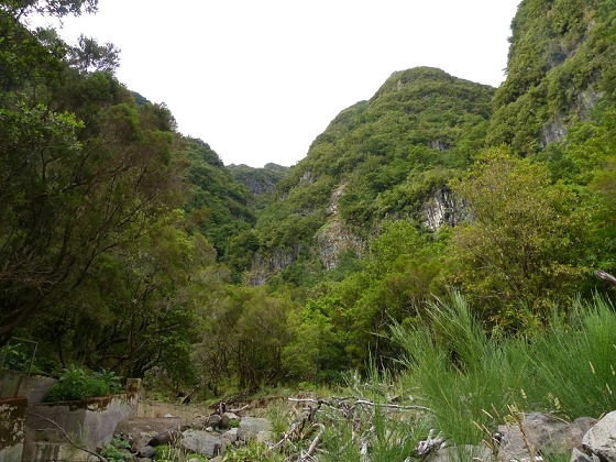 05.08.2012 Folhadal PR 17 — Auf der Levada do Norte im Folhadal — Foto 6