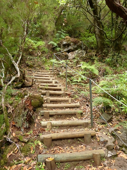 05.08.2012 Folhadal PR 17 — Aufstieg zur Levada do Plaino Velho und auf der Levada do Plaino Velho bis zur Schotterpiste — Foto 1