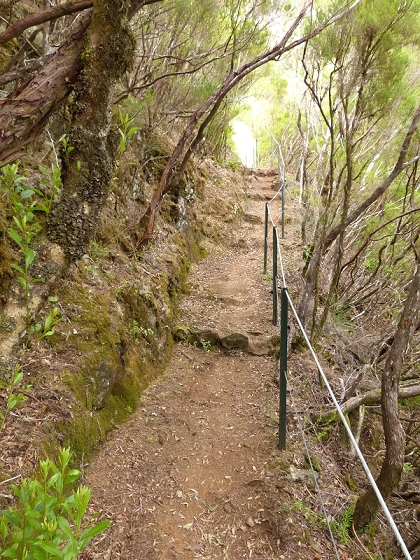 05.08.2012 Folhadal PR 17 — Aufstieg zur Levada do Plaino Velho und auf der Levada do Plaino Velho bis zur Schotterpiste — Foto 5