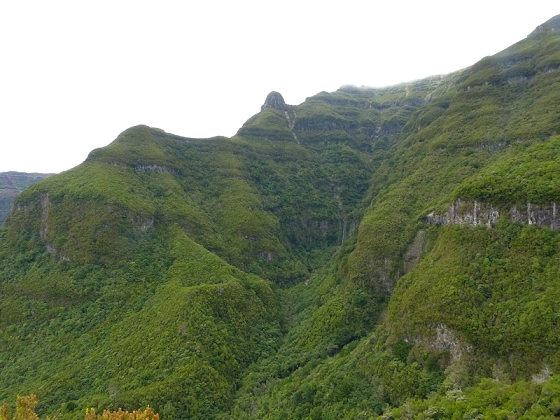 05.08.2012 Folhadal PR 17 — Aufstieg zur Levada do Plaino Velho und auf der Levada do Plaino Velho bis zur Schotterpiste — Foto 7