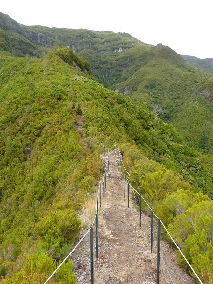 05.08.2012 Folhadal PR 17 — Aufstieg zur Levada do Plaino Velho und auf der Levada do Plaino Velho bis zur Schotterpiste — Foto 9