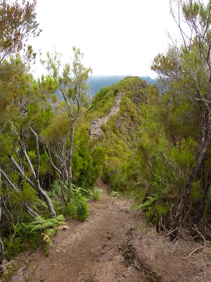 05.08.2012 Folhadal PR 17 — Aufstieg zur Levada do Plaino Velho und auf der Levada do Plaino Velho bis zur Schotterpiste — Foto 13