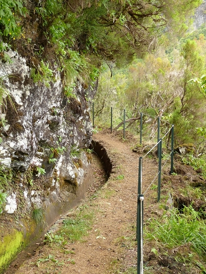 05.08.2012 Folhadal PR 17 — Aufstieg zur Levada do Plaino Velho und auf der Levada do Plaino Velho bis zur Schotterpiste — Foto 16