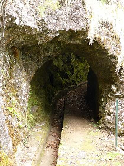 05.08.2012 Folhadal PR 17 — Aufstieg zur Levada do Plaino Velho und auf der Levada do Plaino Velho bis zur Schotterpiste — Foto 17
