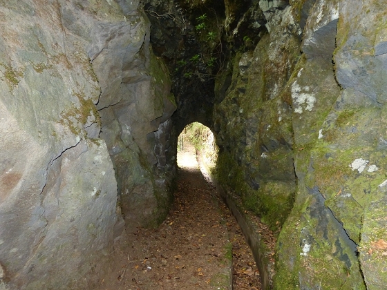05.08.2012 Folhadal PR 17 — Aufstieg zur Levada do Plaino Velho und auf der Levada do Plaino Velho bis zur Schotterpiste — Foto 18