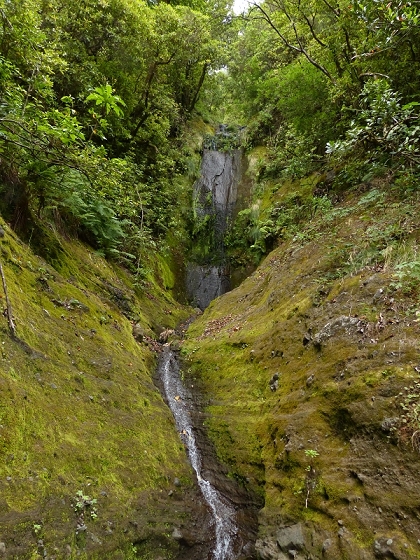 05.08.2012 Folhadal PR 17 — Aufstieg zur Levada do Plaino Velho und auf der Levada do Plaino Velho bis zur Schotterpiste — Foto 21