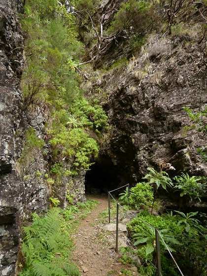 05.08.2012 Folhadal PR 17 — Aufstieg zur Levada do Plaino Velho und auf der Levada do Plaino Velho bis zur Schotterpiste — Foto 27