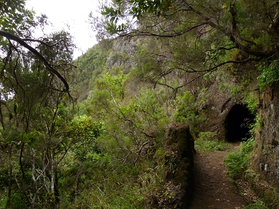 05.08.2012 Folhadal PR 17 — Aufstieg zur Levada do Plaino Velho und auf der Levada do Plaino Velho bis zur Schotterpiste — Foto 29