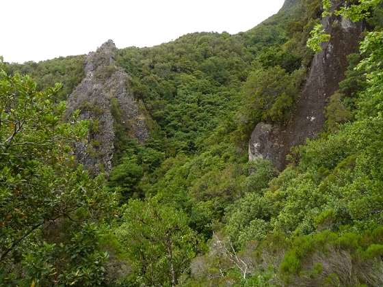 05.08.2012 Folhadal PR 17 — Aufstieg zur Levada do Plaino Velho und auf der Levada do Plaino Velho bis zur Schotterpiste — Foto 30