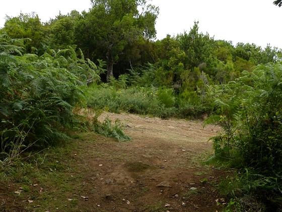 05.08.2012 Folhadal PR 17 — Von der Schotterpiste auf die Levada do Plaino Velho und zurück — Foto 1