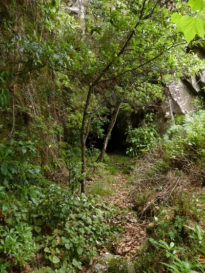 05.08.2012 Folhadal PR 17 — Von der Schotterpiste auf die Levada do Plaino Velho und zurück — Foto 7