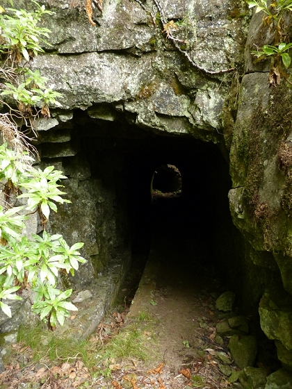 05.08.2012 Folhadal PR 17 — Von der Schotterpiste auf die Levada do Plaino Velho und zurück — Foto 8